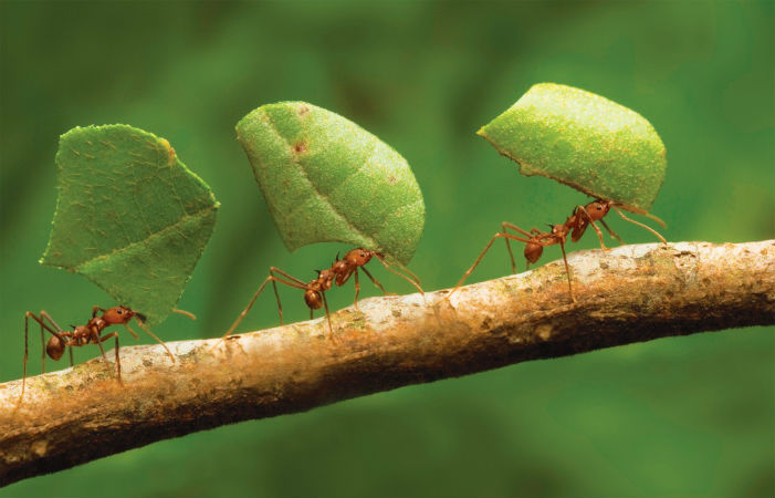 3 dicas para montar uma boa equipe de vendas 2 Motivação é fundamental