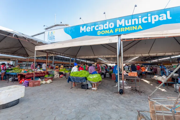 Mercado Municipal Dona Firmina 3 Mercado Municipal de Bom Jesus da Lapa
